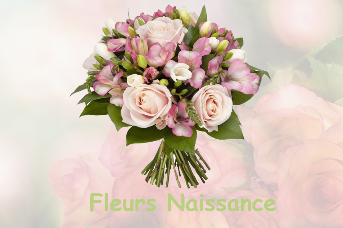 fleurs naissance CAUSE-DE-CLERANS